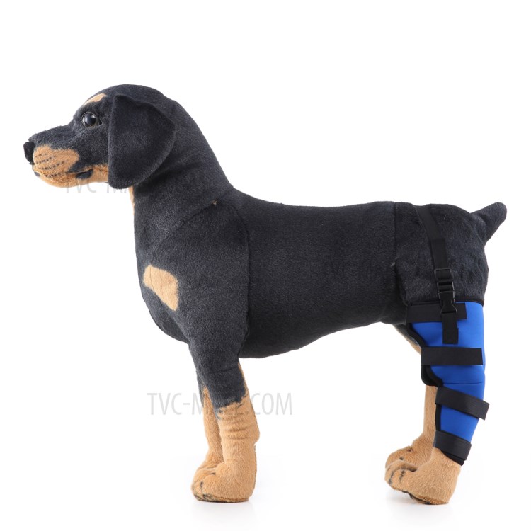 Stylish Therapeutic Dog Rear Leg Strap Knee Brace Dogs Hock Protector L