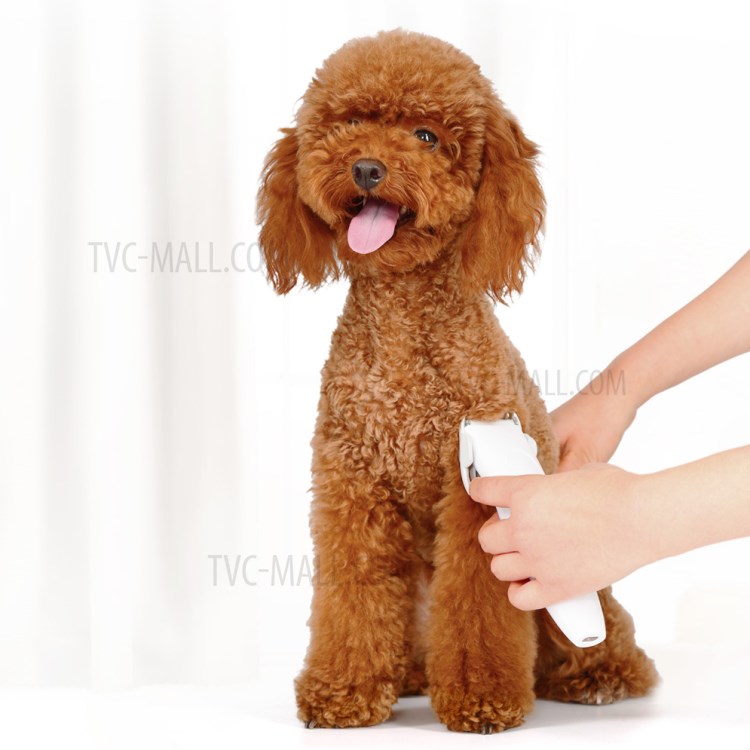 XIAOMI YOUPIN Pawbby MG-HC001 Hair Trimmer Dog/Cat Pet Grooming Electric Hair Clipper Pet Shaver-5