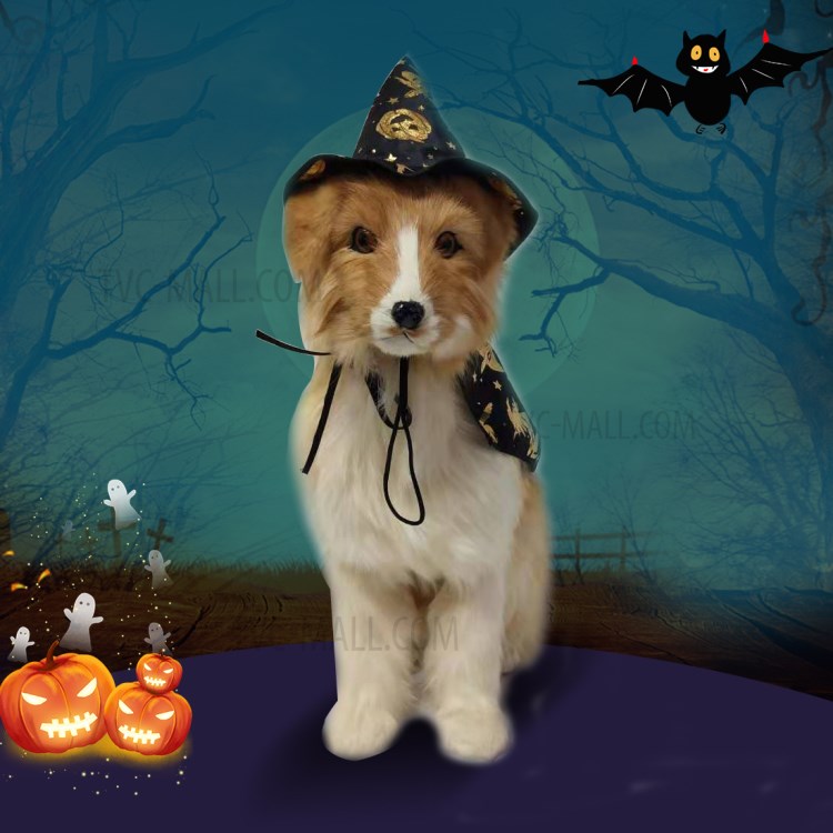 Halloween Costumes Pet Dog Costume With Removable Cape and Cap-3