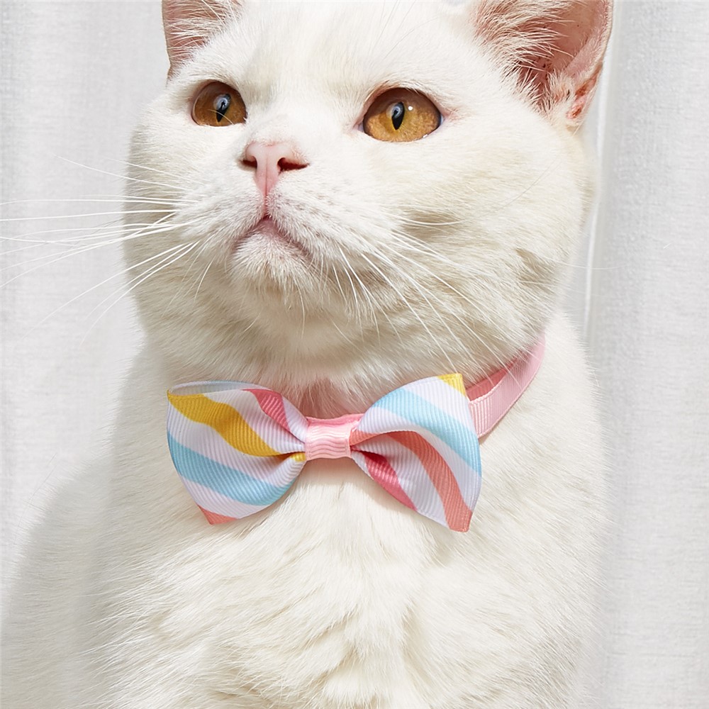 TG-HP110 Cute Stripe Bowtie Lemon Tie Adjustable Pet Cat Dog Collars Set-1