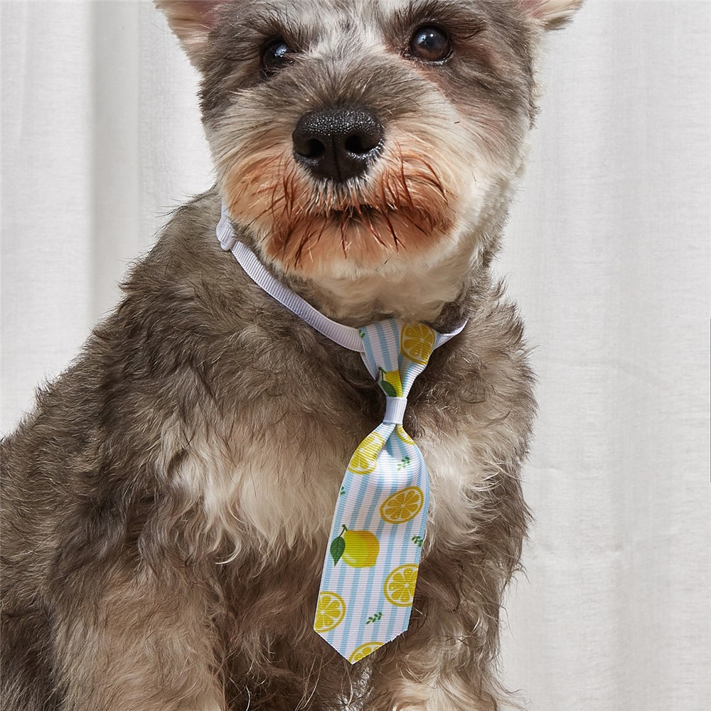 TG-HP110 Cute Stripe Bowtie Lemon Tie Adjustable Pet Cat Dog Collars Set-2