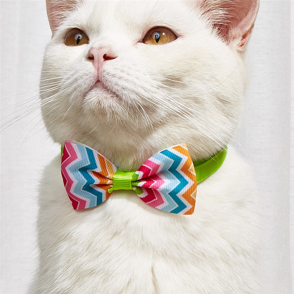 TG-HP109 Cute Wave Stripe Bowtie Fruit Pattern Printed Tie Pet Cat Dog Adjustable Collars Set-1