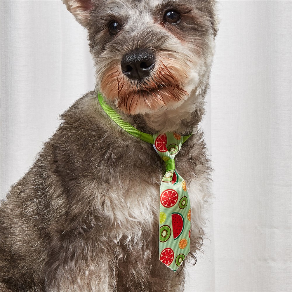 TG-HP109 Cute Wave Stripe Bowtie Fruit Pattern Printed Tie Pet Cat Dog Adjustable Collars Set-2