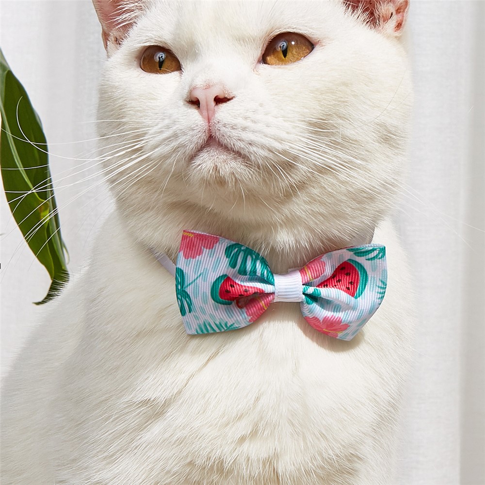 TG-HP108 Tropical Watermelon Printed Pet Bowtie Tie Adjustable Cat Dog Collars Set-1