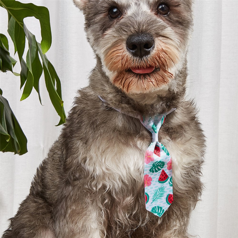 TG-HP108 Tropical Watermelon Printed Pet Bowtie Tie Adjustable Cat Dog Collars Set-2