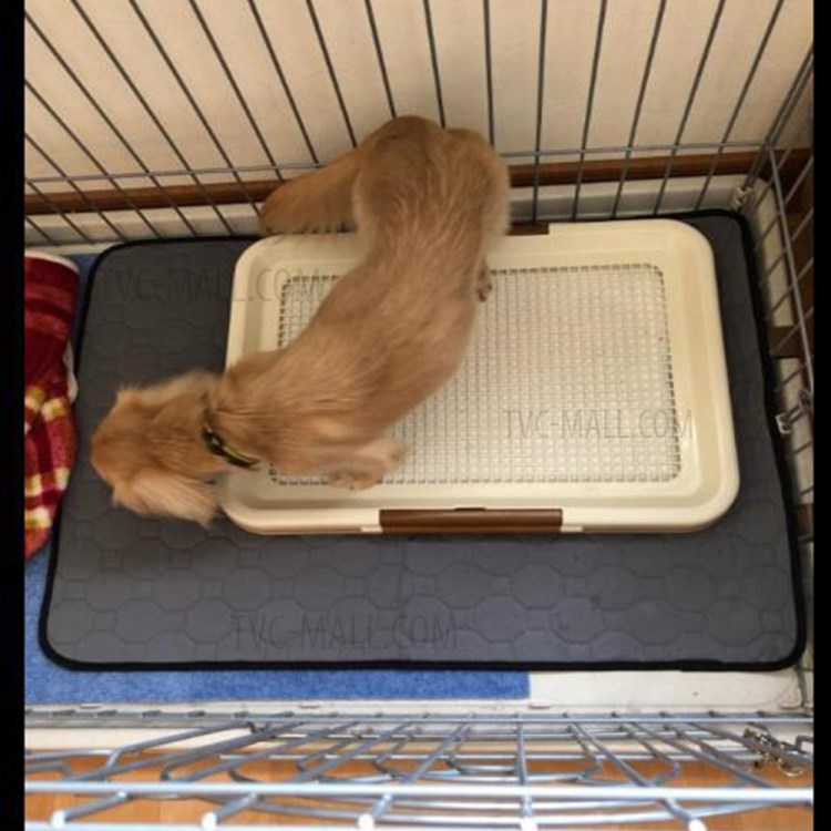 Interior Pad Urina Animal De Estimação Do Cão Do Gato Reutilizável Água Urina Tapete Absorvente, Tamanho L-16