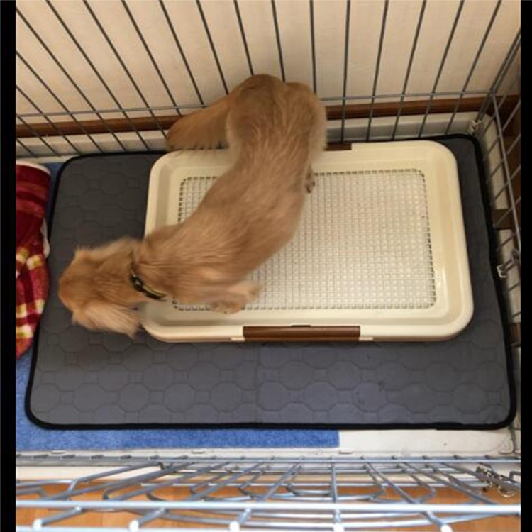 Interior Pet Pad Urina Do Cão Gato Reutilizável Urina Água Mat Absorvente, Tamanho XL-16
