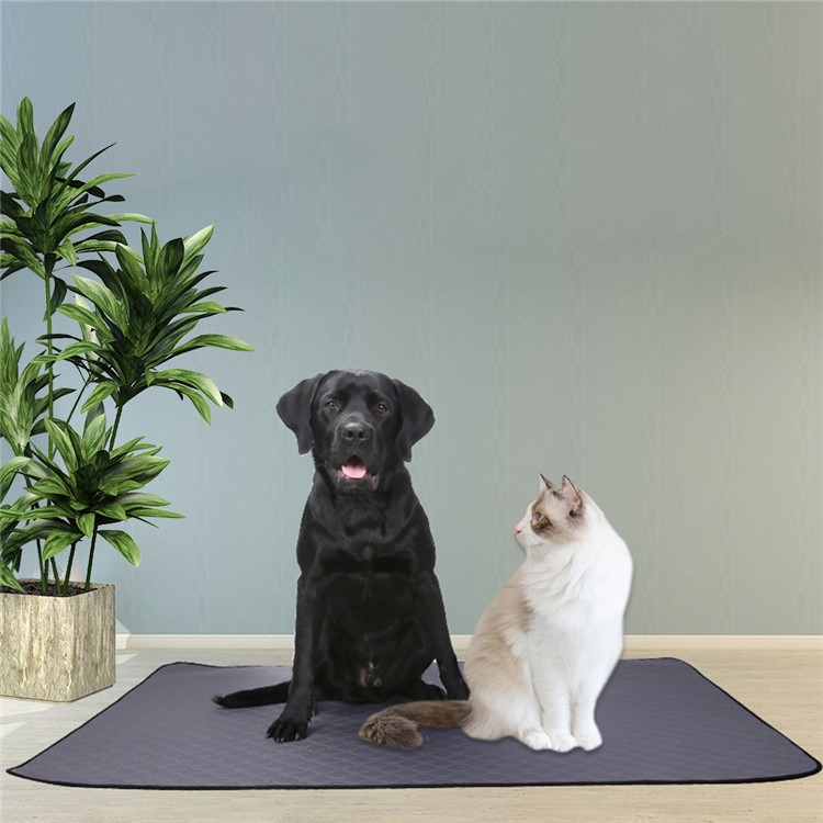 Interior Pet Pad Urina Do Cão Gato Reutilizável Urina Água Mat Absorvente, Tamanho XL-4