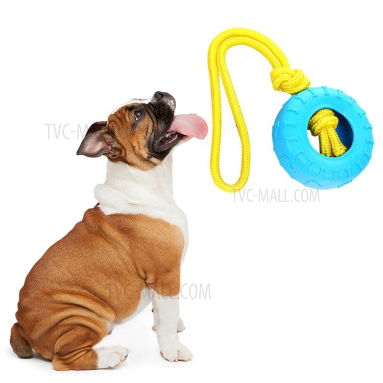 Toys Toys Toys Toys Жевать Игрушки Для Собак Щенок Свинья Формы Жевательные Игрушки Для Собак - Синий-4