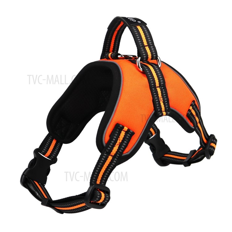 tailup dog harness