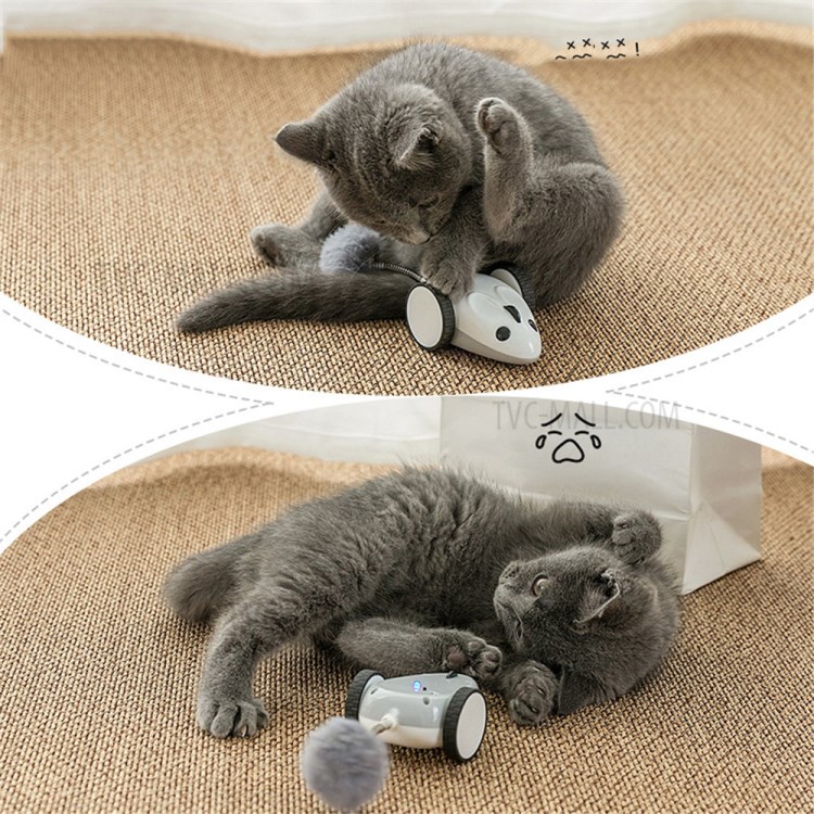 Juguete De Gato Ratón Eléctrico Recargable APP Del Ratón Corredor De Juguete Para Mascotas-8
