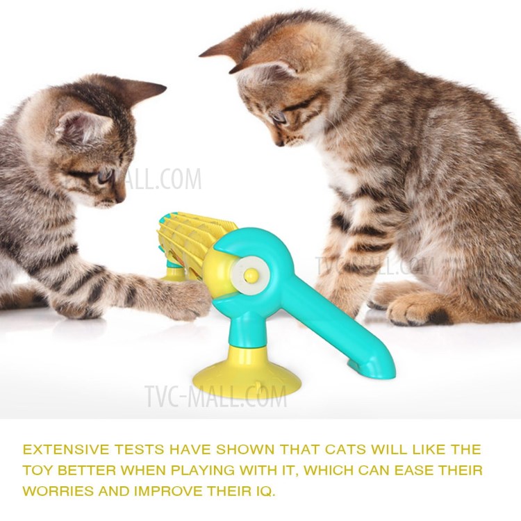Interaktive Spur Katze Spielzeug Spielzeug Für Haustiere-6