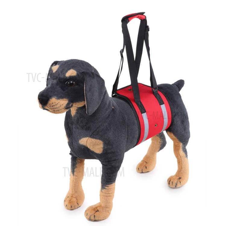 Pet Cinto De Transporte Cão Cinturão De Proteção Ajudando Assistência - Tamanho: M / Vermelho Com Faixa Reflexiva-9