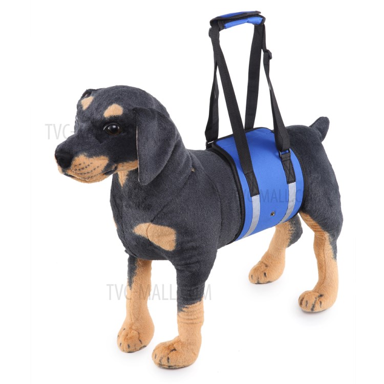 Pet Cinto De Transporte Cão Cinturão De Proteção Ajudando Assistência - Tamanho: M / Azul Com Listra Reflexivo-9