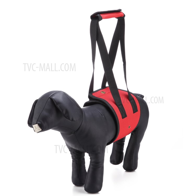 Pet Cinto De Transporte Cão Cinturão De Proteção Ajudando Assistência - Tamanho: M / Vermelho-2