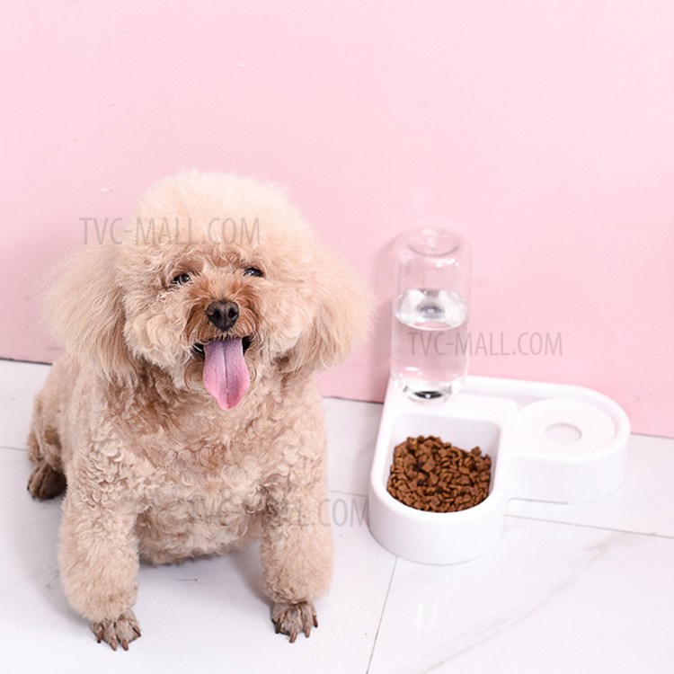 Cat Feeding Bowls Dog Automatic Feeders Dog Water Dispenser Fountain Bottle-1