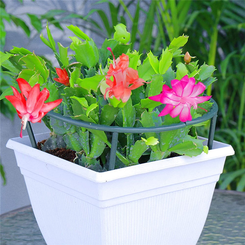 3Pcs Semi-circular Plastic Flower Pot Support Climbing Rack Plant Frame Brackets-3