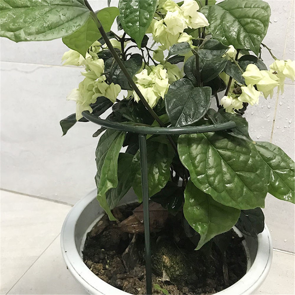 3Pcs Semi-circular Plastic Flower Pot Support Climbing Rack Plant Frame Brackets-6