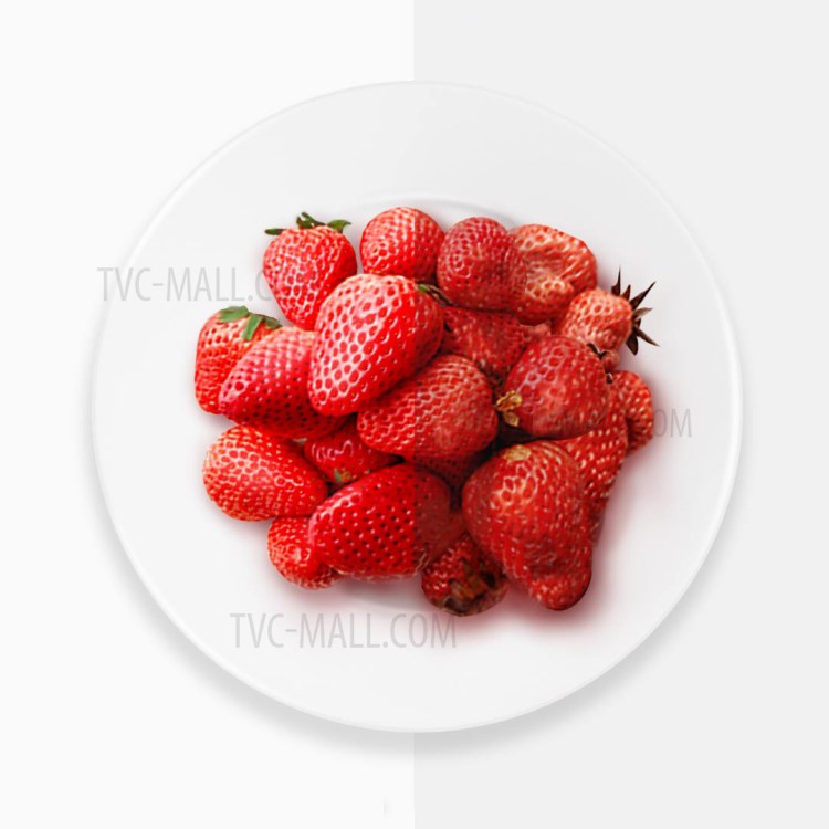 XIAOMI YOUPIN VIOMI VF1-CB Refrigerator Herbal Antibacterial Deodorizing Filter-7