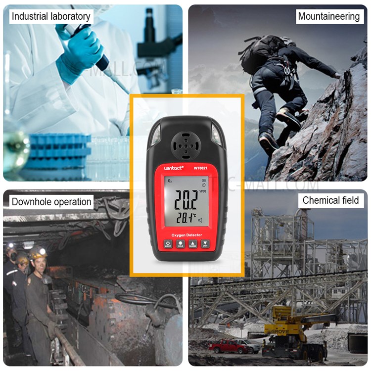 WINTACT WT8821 Professional Oxygen Detector High Sensitive Oxygen Gas Sensor Alarm O2 Meter Monitor Gas Analyzer-2