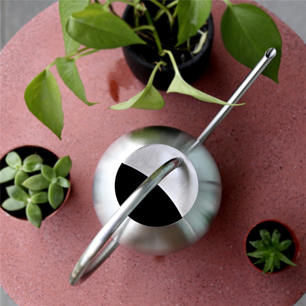 1000ml Watering Can Stainless Steel Long Spout Stainless Steel Watering Pot for Indoor Outdoor Plants-3