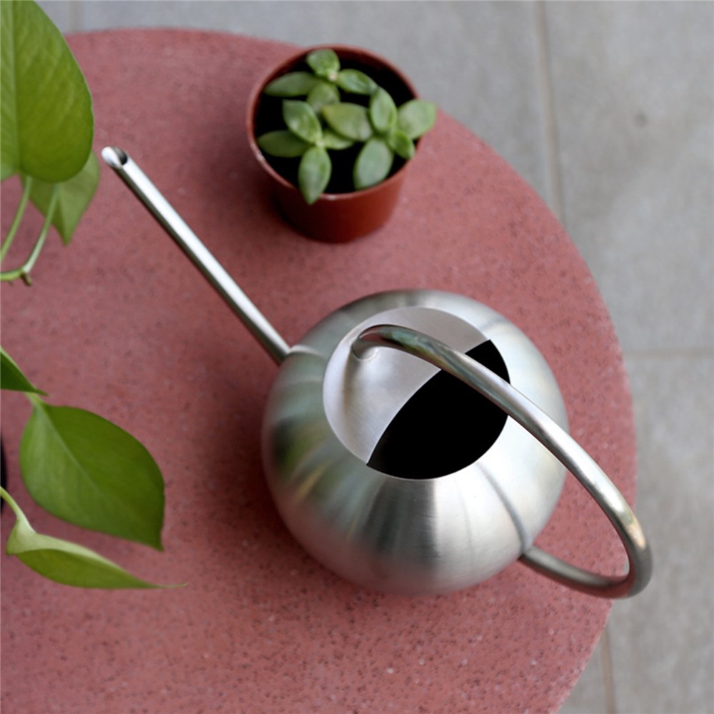 1000ml Watering Can Stainless Steel Long Spout Stainless Steel Watering Pot for Indoor Outdoor Plants-5