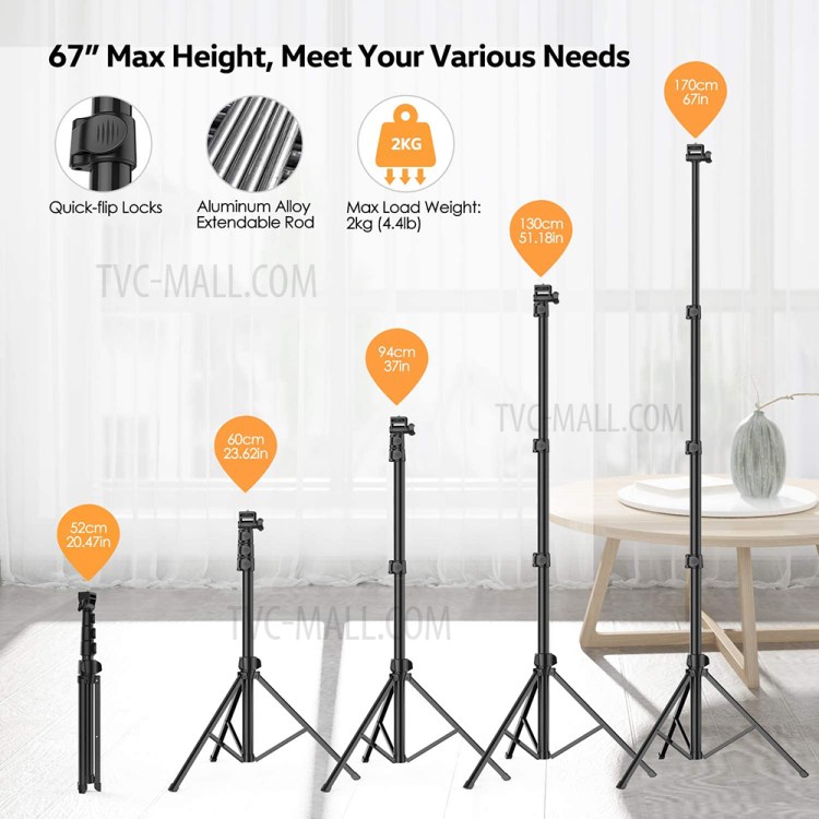 WONEW ZJ08 10-inch LED Ring Light Photography Live Broadcast Ring Lamp with Tripod Stand-3