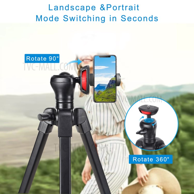 ZOMEI T50 Aluminum Alloy Tripod Selfie Travel Shutter Tablet Phone Clamp Clip for Photography Live Streaming-2