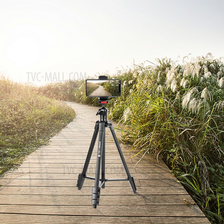 ZOMEI T50 Aluminum Alloy Tripod Selfie Travel Shutter Tablet Phone Clamp Clip for Photography Live Streaming-3