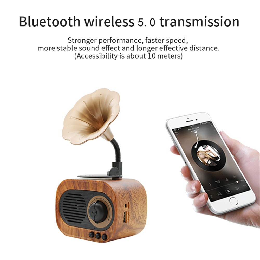 B5 Retro Gramophone Design Wireless Bluetooth Stereo Speaker FM Radio Support TF Card / U-disk / AUX-4