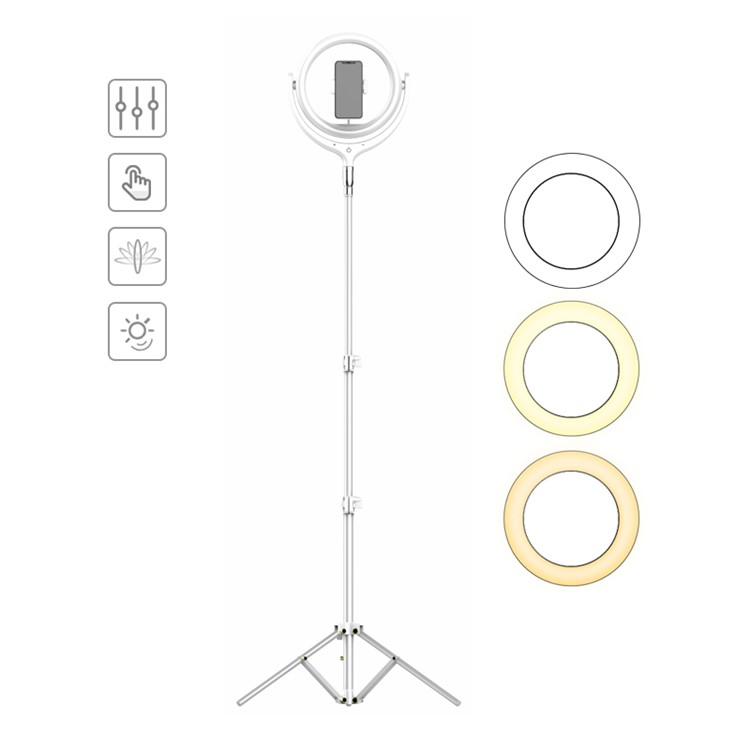 Wholesale 12" Selfie Ring Light LED Ring Light Cell Phone Holder LED