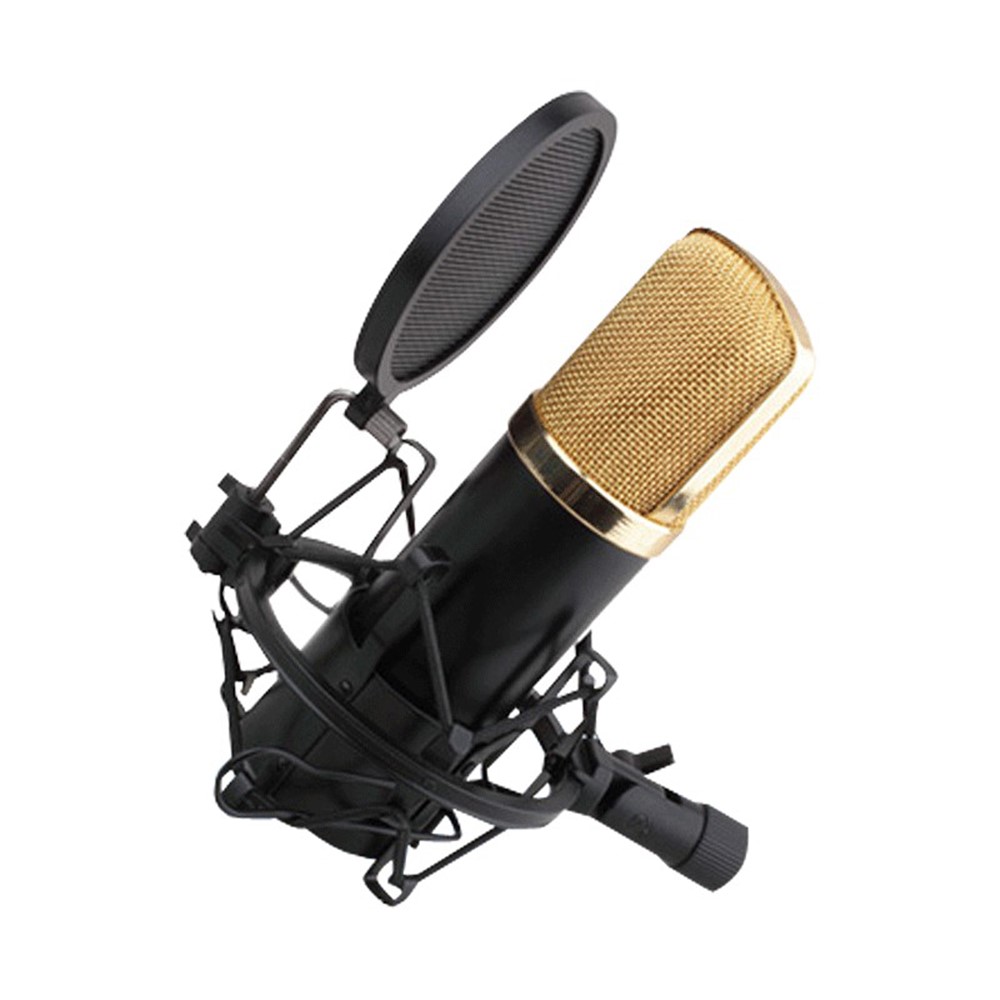 TEYUN PS-2 Professional Microphone Pop Filter Mask Shield Mic Three Layered Wind Pop Screen with 360-degree Adjustable Clip-4