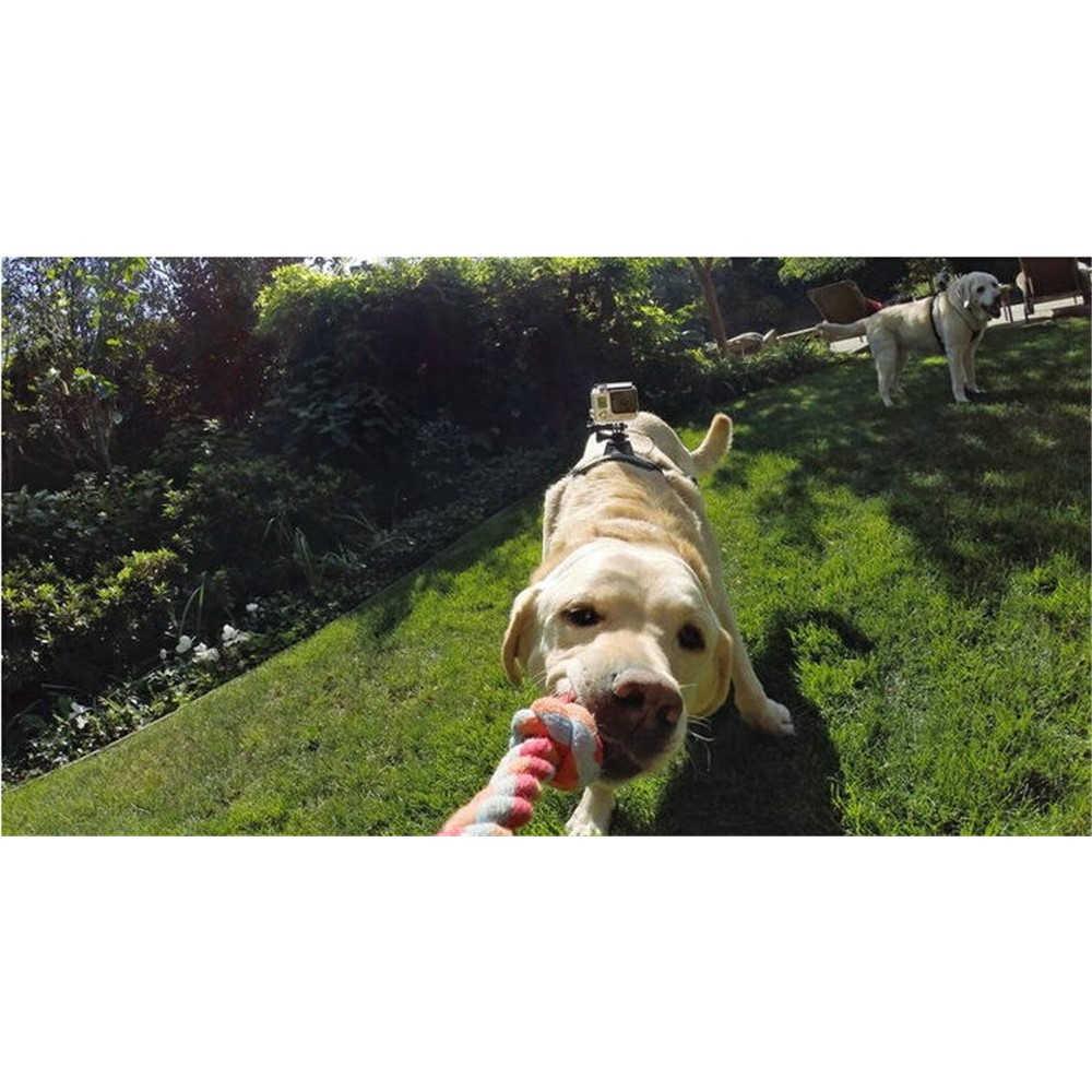 Fetch Dog Harness Chest Shoulder Strap Belt Mount for GoPro Hero 4/3+/3/2/1 SJ4000/5000/6000-13