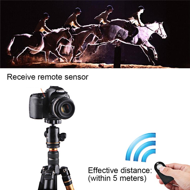 PULUZ Wireless IR Remote Control for DSLR / SLR Camera-6