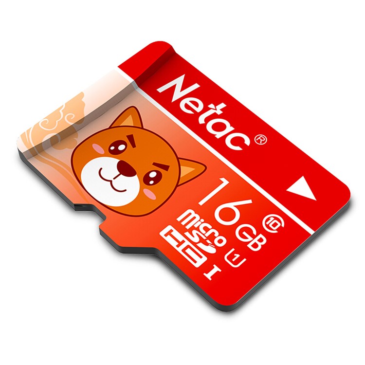NETAC P500 Cartoon Pattern 16GB Micro SD Card High Speed Class 10 Micro SD TF Card-2