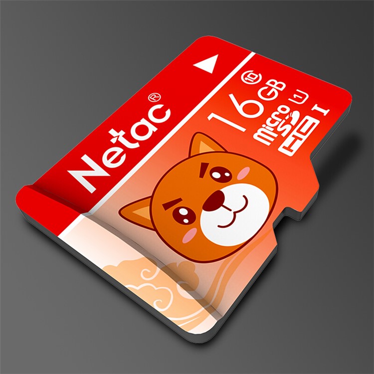 NETAC P500 Cartoon Pattern 16GB Micro SD Card High Speed Class 10 Micro SD TF Card-4