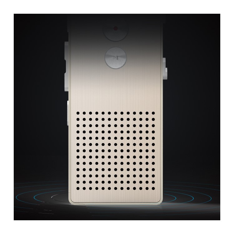 REMAX RP1 8GB Digital Audio Voice Recorder MP3 Music Player (CE/RoHS) - Gold Color-2