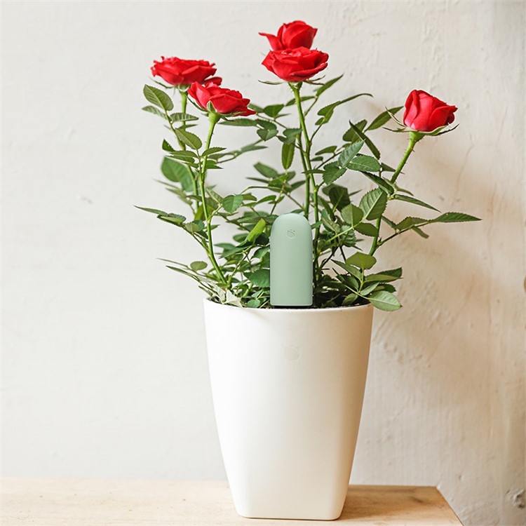 XIAOMI Mi Plant Flowers Tester Light Monitor PH / Soil Moisture / Humidity / Temperature / Light / Nutrient Garden Testing Tool-5