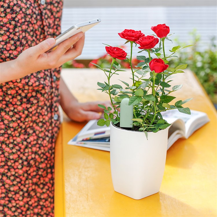 XIAOMI Mi Plant Flowers Tester Light Monitor PH / Soil Moisture / Humidity / Temperature / Light / Nutrient Garden Testing Tool-6