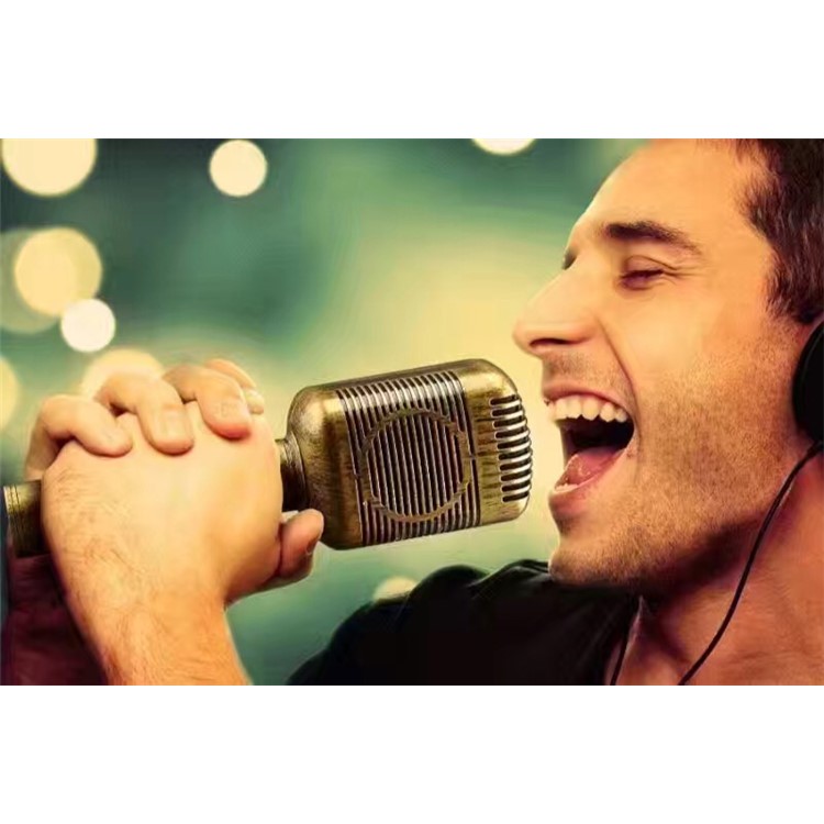 JY-51 Retro Style Magic Karaoke Microphone Player Bluetooth Microphone Speaker Record Music - Gold-6