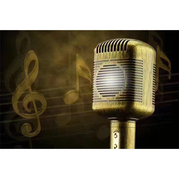 JY-51 Retro Style Magic Karaoke Microphone Player Bluetooth Microphone Speaker Record Music - Gold-8