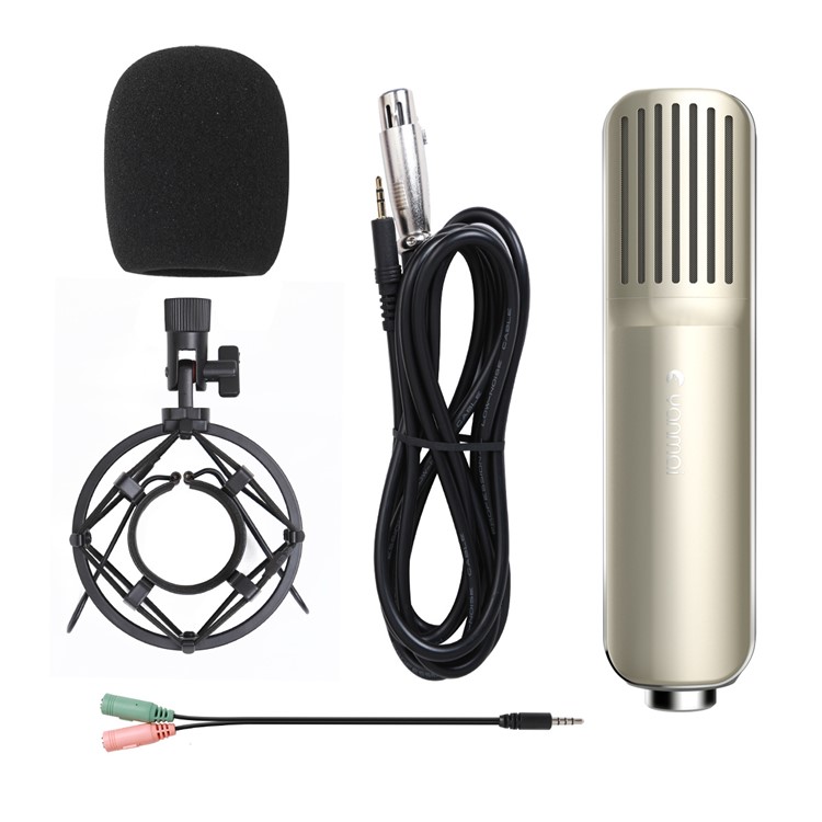 YANMAI Q8 3.5mm Adjustable Professional Studio Broadcasting Recording Condenser Microphone with Shock Mount-1