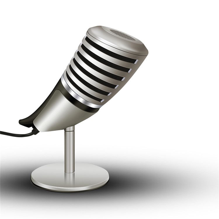 YANMAI SF-700 3.5mm Portable Microphone with Holder Stand for Studio, Radio, Broadcast-1