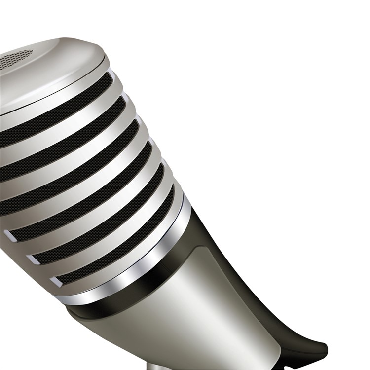 YANMAI SF-700 3.5mm Portable Microphone with Holder Stand for Studio, Radio, Broadcast-3