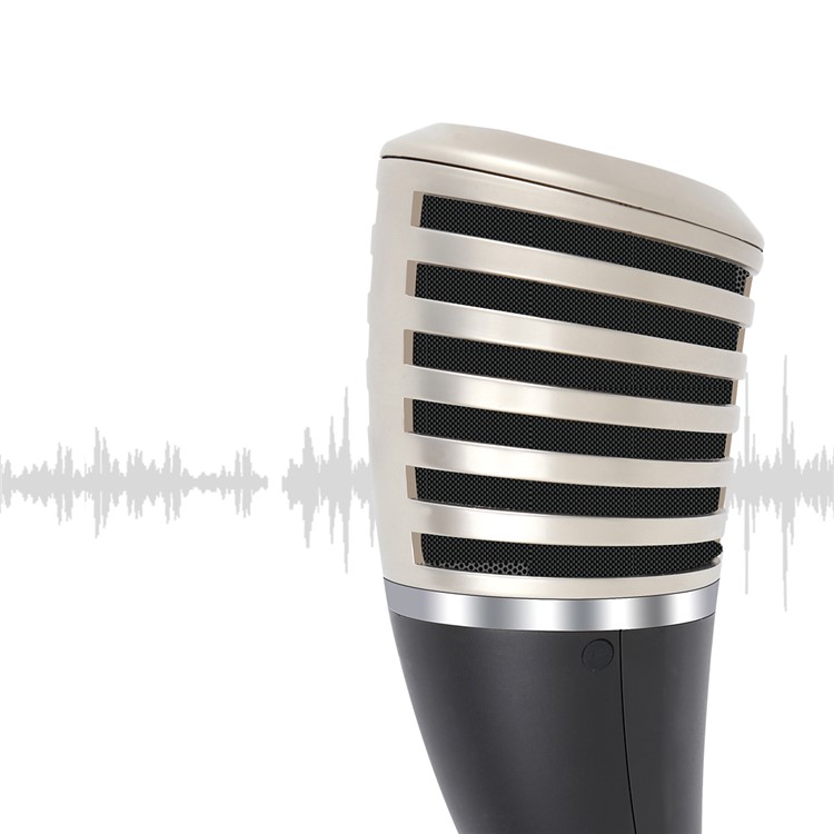 YANMAI SF-700 3.5mm Portable Microphone with Holder Stand for Studio, Radio, Broadcast-4