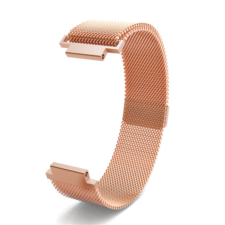Magnetband Ersatz Für Garmin Vivoactive / Ansatz S2 / Ansatz S4 - Roségold-3