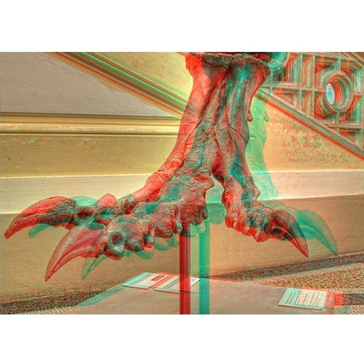 Lunettes De Lunettes 3D Passives Universelles Pour Le Film De Cinéma / La Télévision À La Maison / Les Jeux - Rouge / Bleu-7