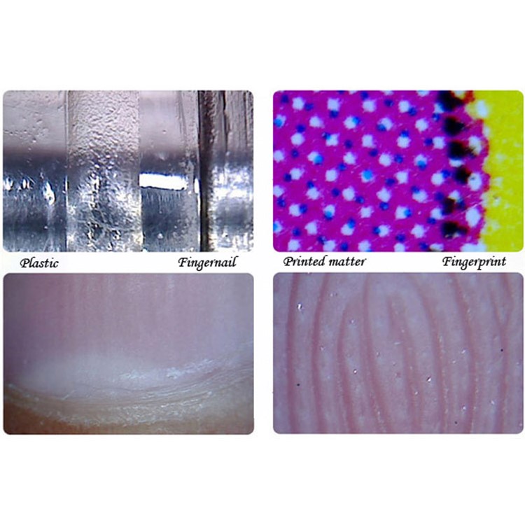 Microscopio Digitale USB Endoscopio Ingrandimento 25X-600X 8-LED Mini Fotocamera Per Mac Finestra Android-14