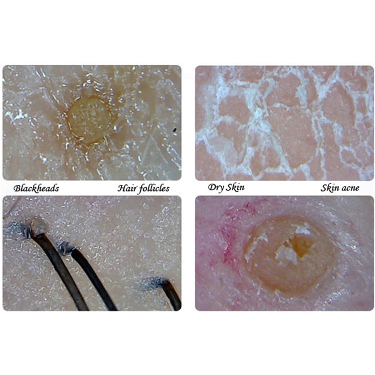 Microscopio Digitale USB Endoscopio Ingrandimento 25X-600X 8-LED Mini Fotocamera Per Mac Finestra Android-15