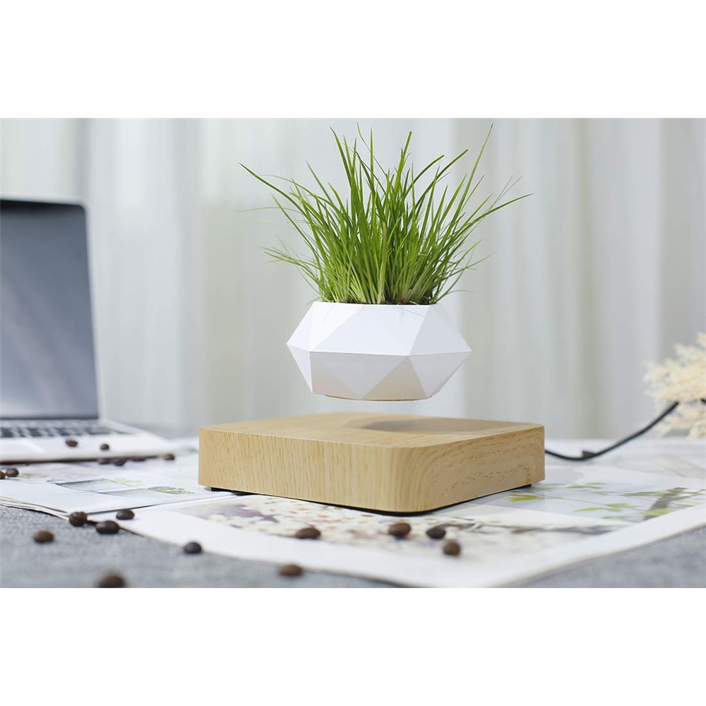Vaso De Flores Magnético Suspensão Micro Paisagem Jardinagem Levitando Ar Bonsai Pote - Castanho Claro / Plugue Eu-8